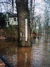 The Flood Crest on January 10, 1998